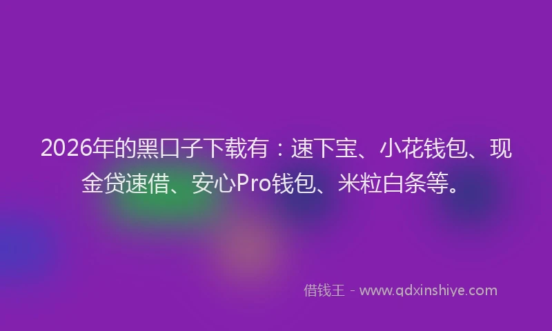 2026年的黑口子下载有：速下宝、小花钱包、现金贷速借、安心Pro钱包、米粒白条等。