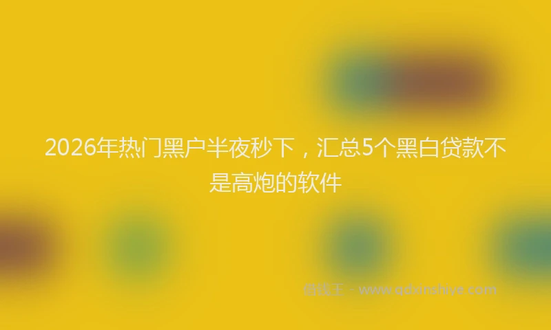 2026年热门黑户半夜秒下，汇总5个黑白贷款不是高炮的软件