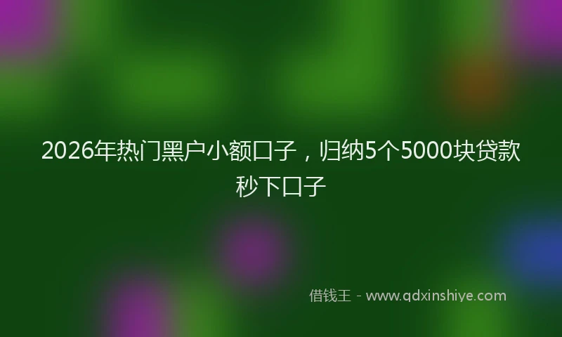 2026年热门黑户小额口子，归纳5个5000块贷款秒下口子