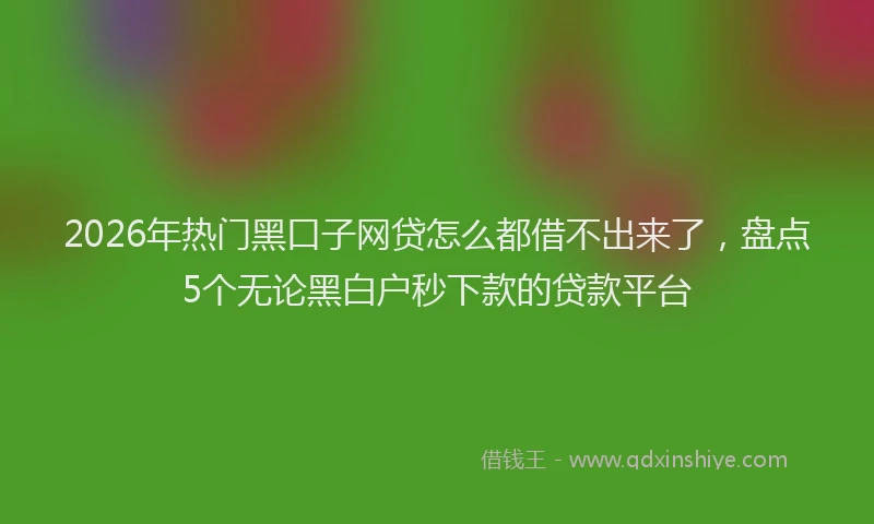 2026年热门黑口子网贷怎么都借不出来了，盘点5个无论黑白户秒下款的贷款平台