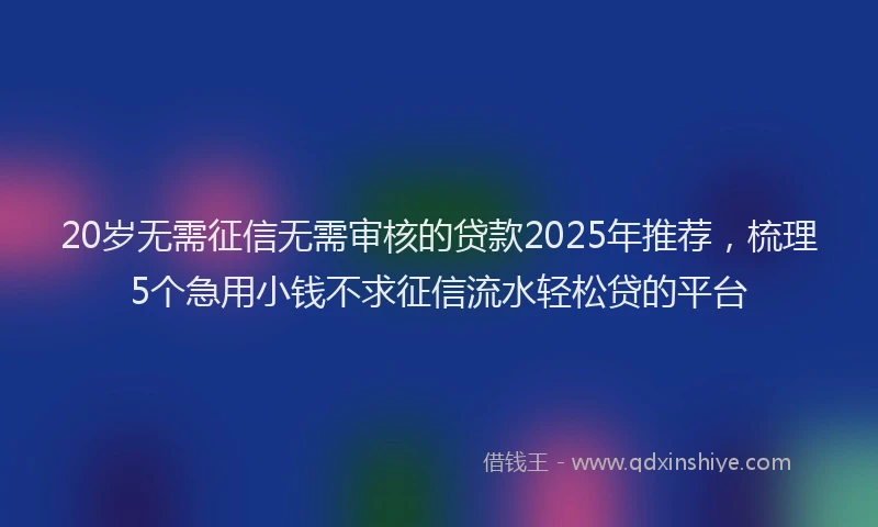 20岁无需征信无需审核的贷款2025年推荐，梳理5个急用小钱不求征信流水轻松贷的平台