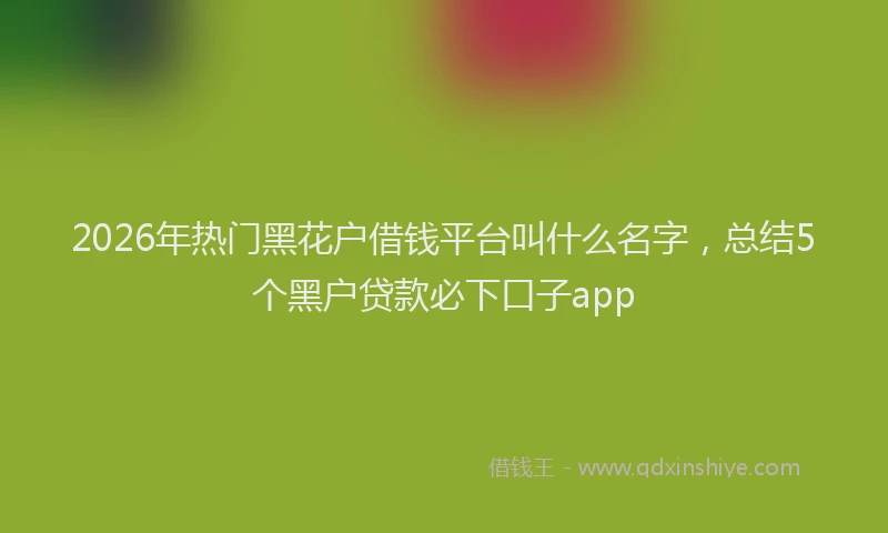 2026年热门黑花户借钱平台叫什么名字，总结5个黑户贷款必下口子app