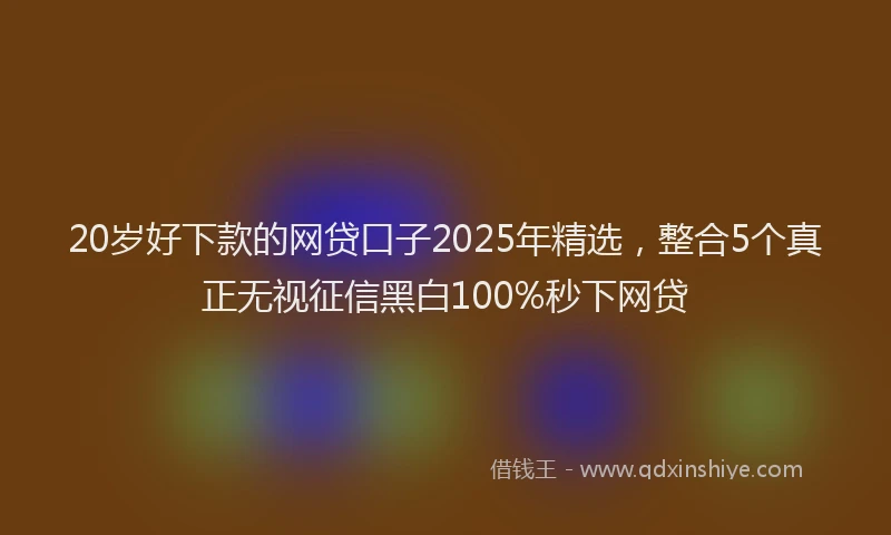 20岁好下款的网贷口子2025年精选，整合5个真正无视征信黑白100%秒下网贷