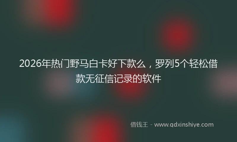 2026年热门野马白卡好下款么，罗列5个轻松借款无征信记录的软件