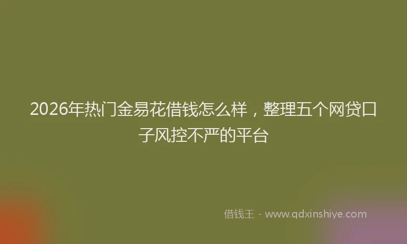 2026年热门金易花借钱怎么样，整理五个网贷口子风控不严的平台