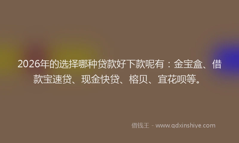 2026年的选择哪种贷款好下款呢有：金宝盒、借款宝速贷、现金快贷、榕贝、宜花呗等。