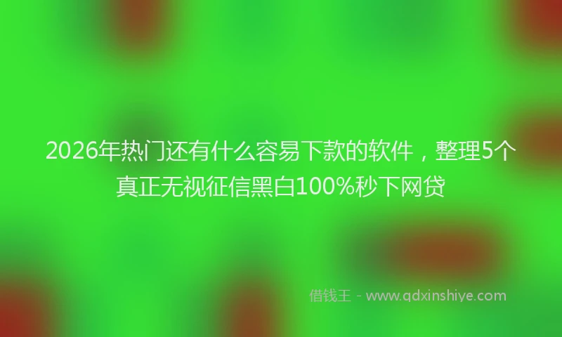 2026年热门还有什么容易下款的软件，整理5个真正无视征信黑白100%秒下网贷