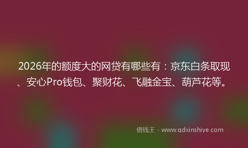 2026年的额度大的网贷有哪些有：京东白条取现、安心Pro钱包、聚财花、飞融金宝、葫芦花等。
