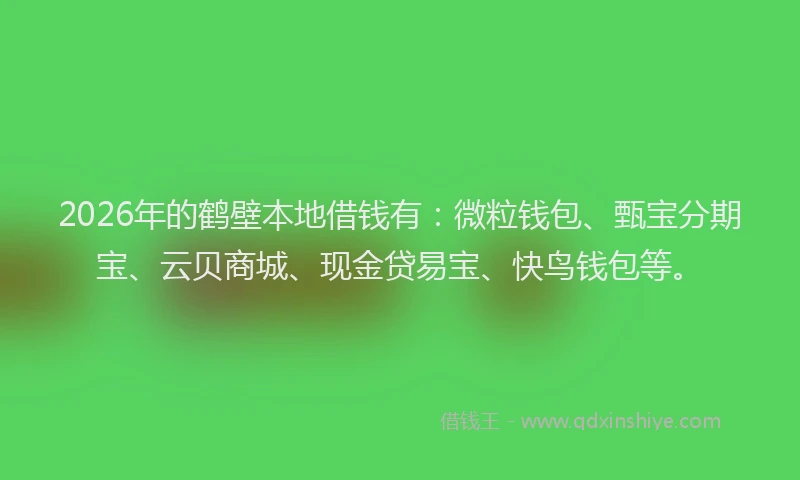 2026年的鹤壁本地借钱有：微粒钱包、甄宝分期宝、云贝商城、现金贷易宝、快鸟钱包等。