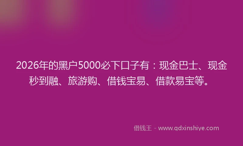 2026年的黑户5000必下口子有:现金巴士、现金秒到融、旅游购、借钱宝易、借款易宝等。
