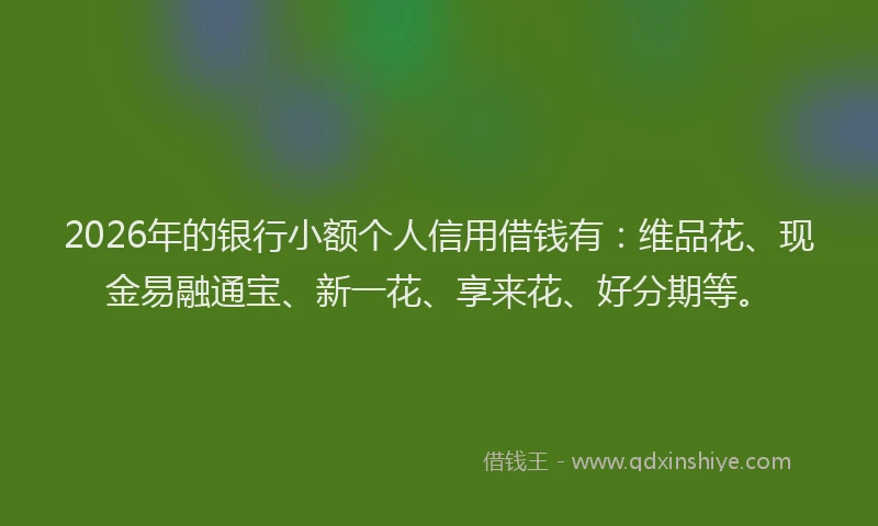 2026年的银行小额个人信用借钱有：维品花、现金易融通宝、新一花、享来花、好分期等。