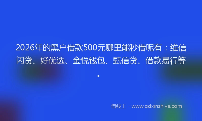 2026年的黑户借款500元哪里能秒借呢有:维信闪贷、好优选、金悦钱包、甄信贷、借款易行等。