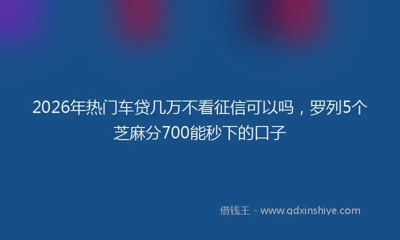 2026年热门车贷几万不看征信可以吗，罗列5个芝麻分700能秒下的口子