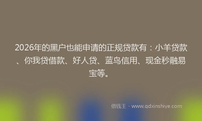 2026年的黑户也能申请的正规贷款有：小羊贷款、你我贷借款、好人贷、蓝鸟信用、现金秒融易宝等。