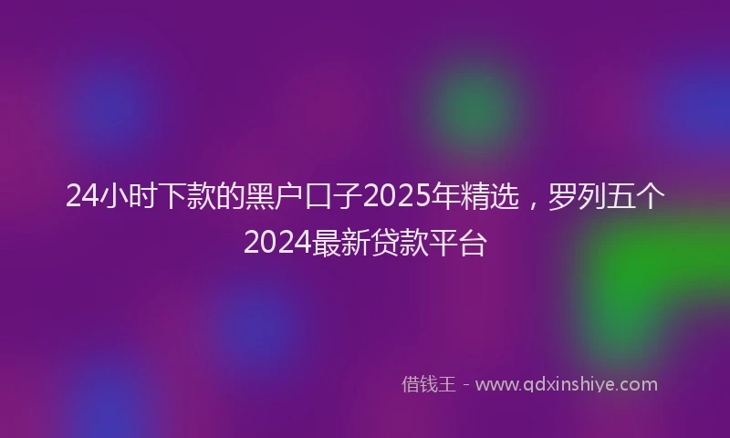 24小时下款的黑户口子2025年精选，罗列五个2024最新贷款平台