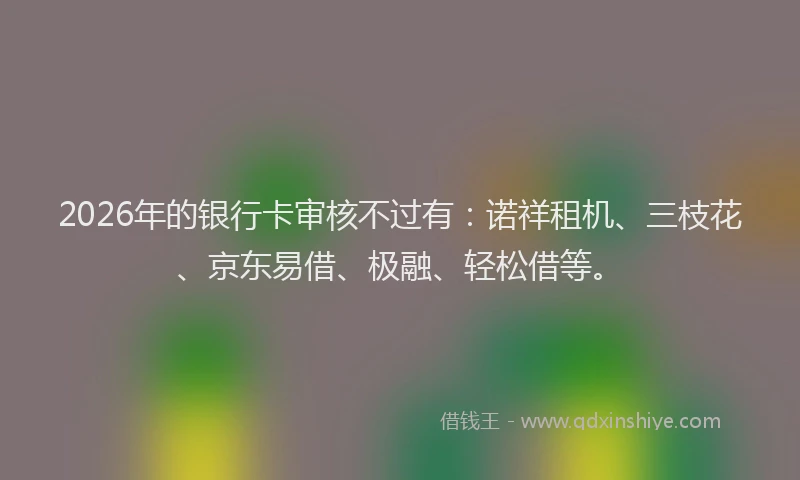 2026年的银行卡审核不过有：诺祥租机、三枝花、京东易借、极融、轻松借等。