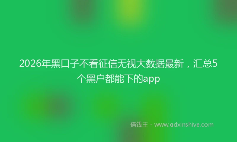 2026年黑口子不看征信无视大数据最新，汇总5个黑户都能下的app