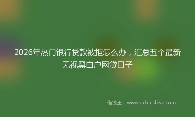 2026年热门银行贷款被拒怎么办，汇总五个最新无视黑白户网贷口子