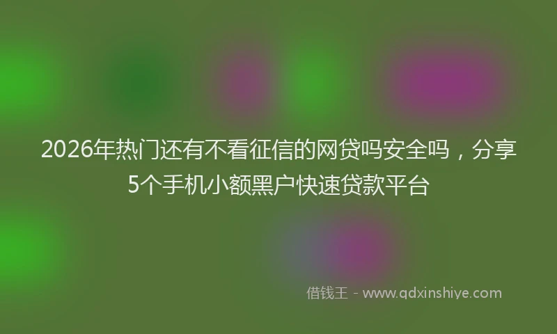 2026年热门还有不看征信的网贷吗安全吗,分享5个手机小额黑户快速贷款平台
