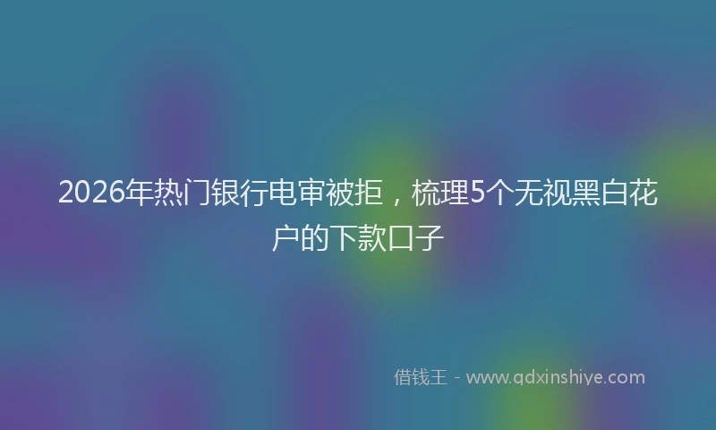2026年热门银行电审被拒，梳理5个无视黑白花户的下款口子