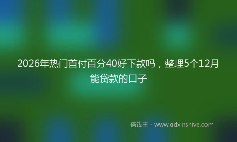 2026年热门首付百分40好下款吗，整理5个12月能贷款的口子