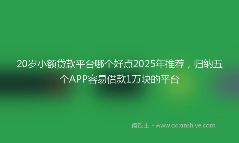 20岁小额贷款平台哪个好点2025年推荐，归纳五个APP容易借款1万块的平台