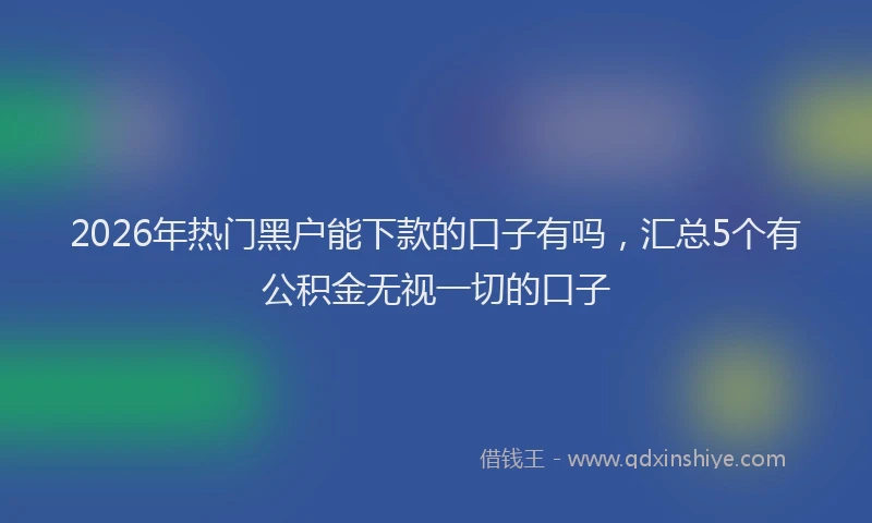 2026年热门黑户能下款的口子有吗，汇总5个有公积金无视一切的口子