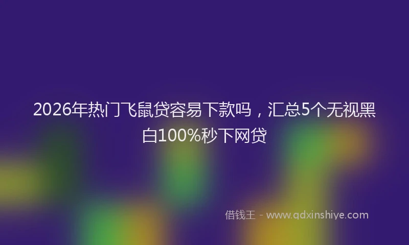 2026年热门飞鼠贷容易下款吗，汇总5个无视黑白100%秒下网贷