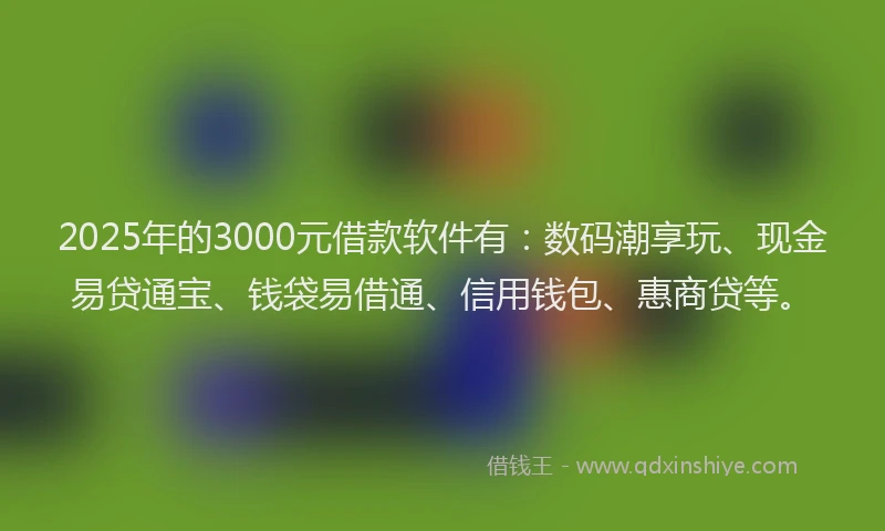 2025年的3000元借款软件有：数码潮享玩、现金易贷通宝、钱袋易借通、信用钱包、惠商贷等。