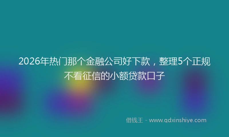 2026年热门那个金融公司好下款，整理5个正规不看征信的小额贷款口子