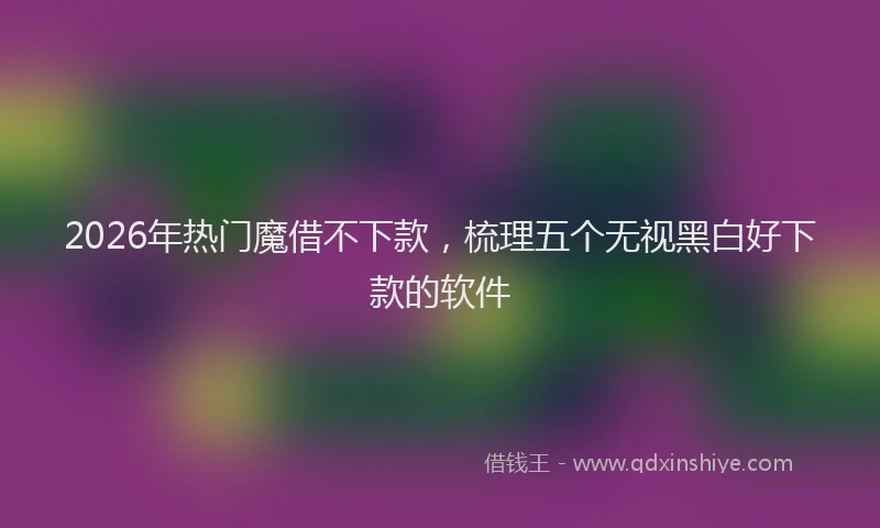 2026年热门魔借不下款，梳理五个无视黑白好下款的软件