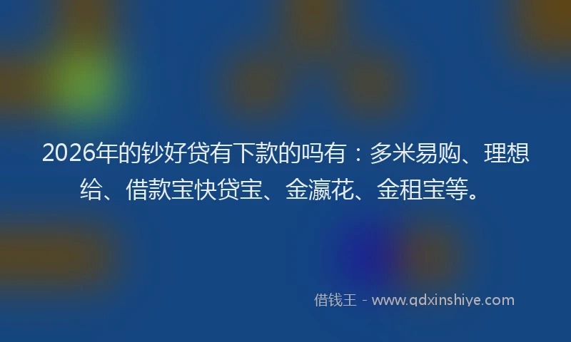 2026年的钞好贷有下款的吗有：多米易购、理想给、借款宝快贷宝、金瀛花、金租宝等。