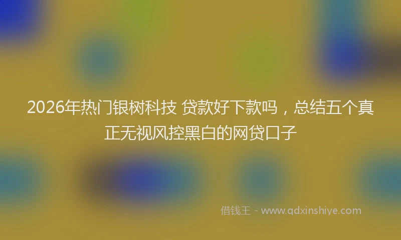 2026年热门银树科技 贷款好下款吗，总结五个真正无视风控黑白的网贷口子