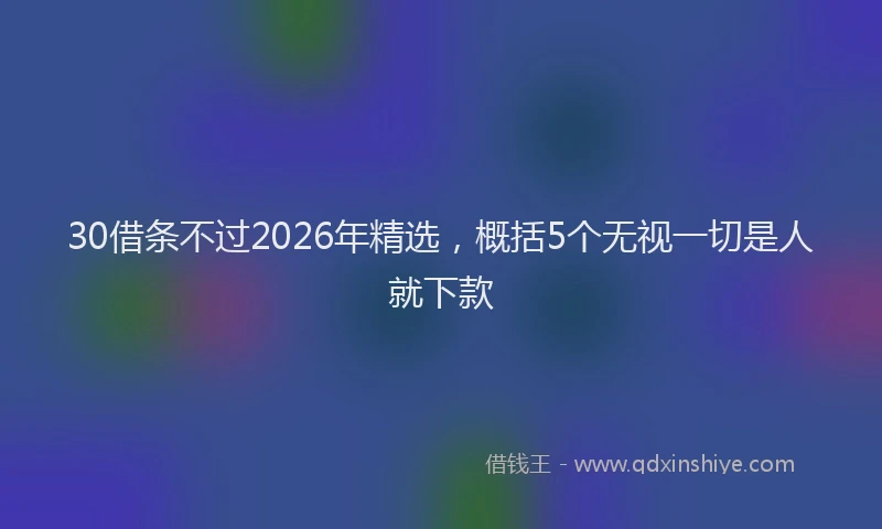30借条不过2026年精选，概括5个无视一切是人就下款