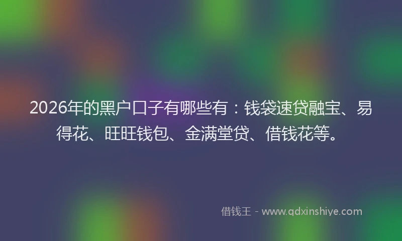 2026年的黑户口子有哪些有：钱袋速贷融宝、易得花、旺旺钱包、金满堂贷、借钱花等。