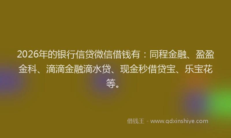 2026年的银行信贷微信借钱有:同程金融、盈盈金科、滴滴金融滴水贷、现金秒借贷宝、乐宝花等。