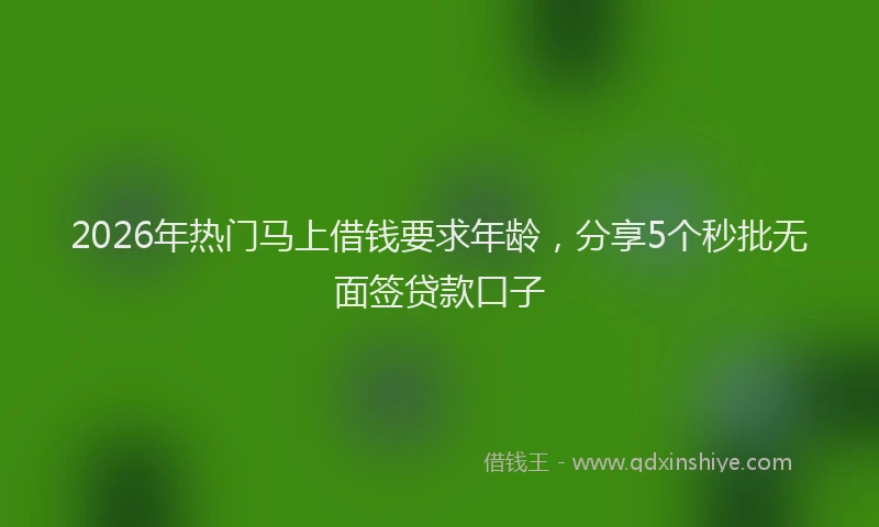2026年热门马上借钱要求年龄，分享5个秒批无面签贷款口子