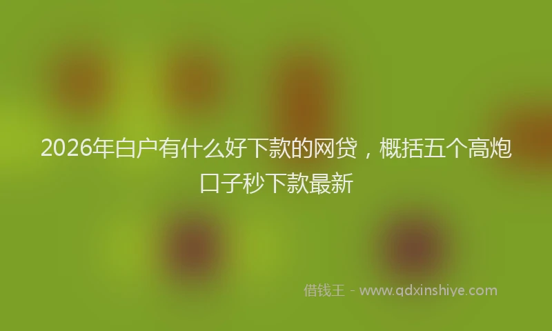 2026年白户有什么好下款的网贷，概括五个高炮口子秒下款最新