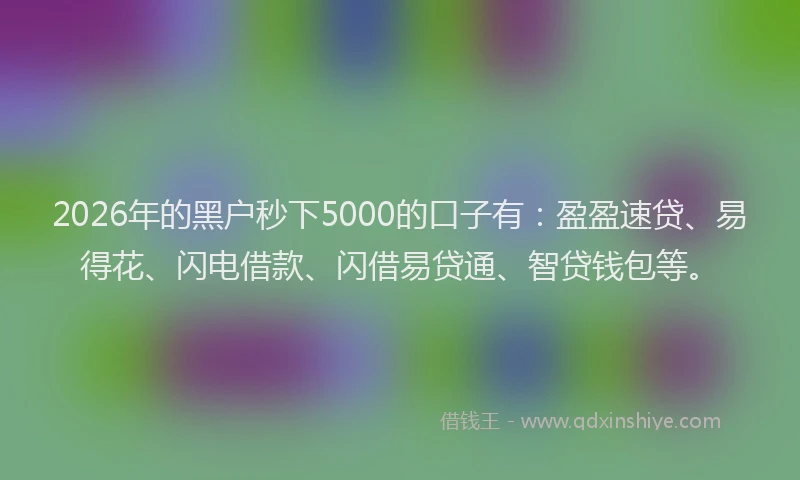 2026年的黑户秒下5000的口子有：盈盈速贷、易得花、闪电借款、闪借易贷通、智贷钱包等。