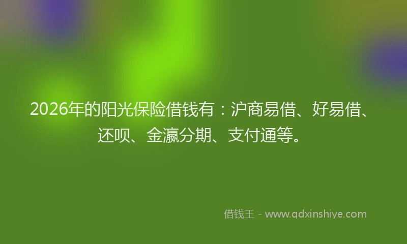 2026年的阳光保险借钱有：沪商易借、好易借、还呗、金瀛分期、支付通等。