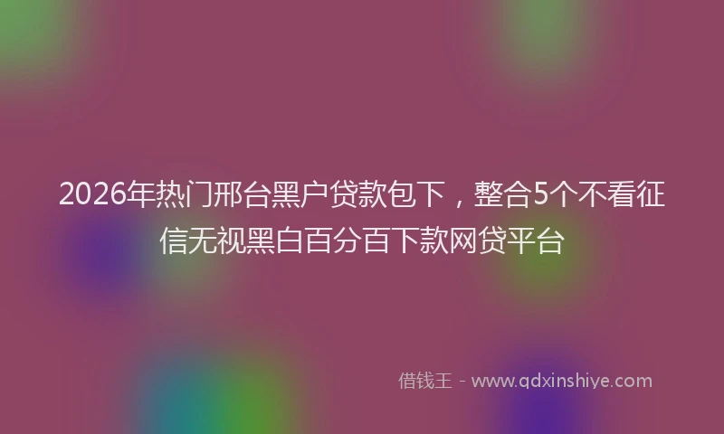 2026年热门邢台黑户贷款包下,整合5个不看征信无视黑白百分百下款网贷平台