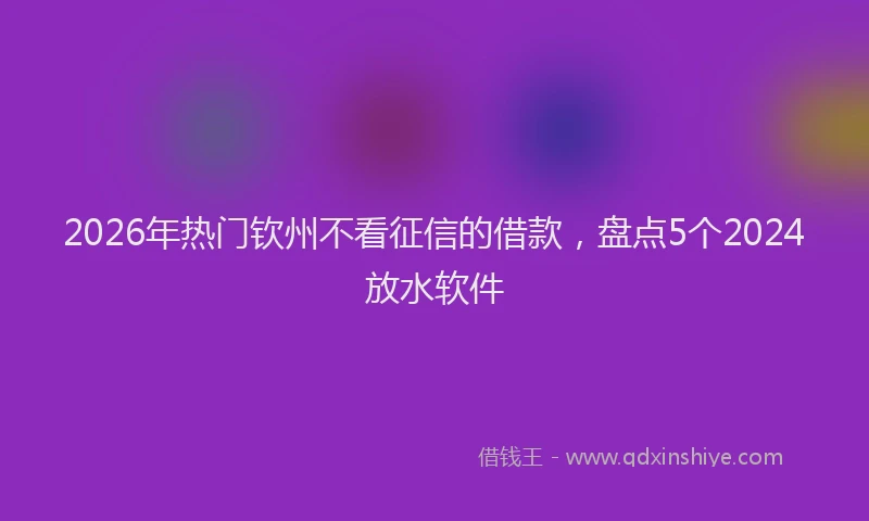 2026年热门钦州不看征信的借款，盘点5个2024放水软件
