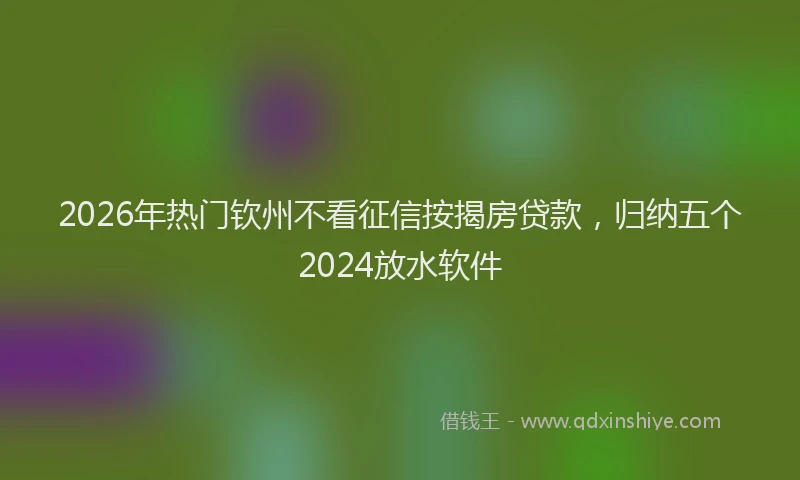 2026年热门钦州不看征信按揭房贷款，归纳五个2024放水软件