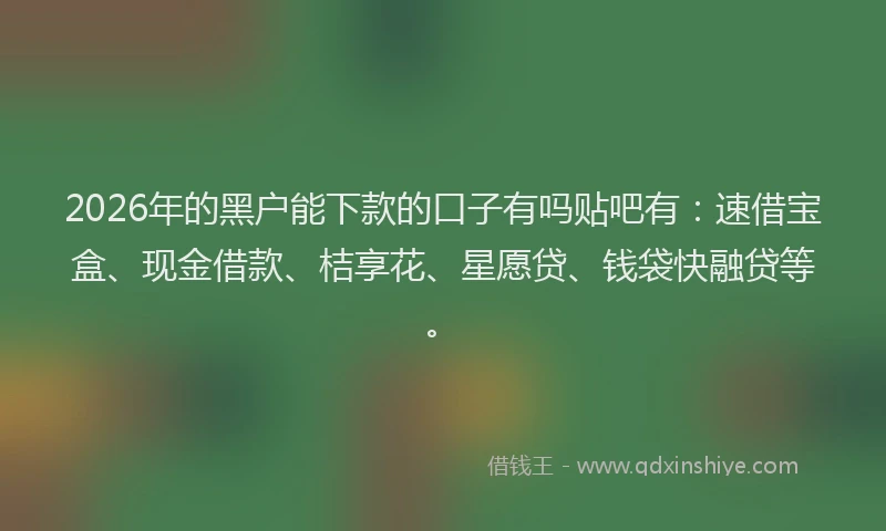 2026年的黑户能下款的口子有吗贴吧有：速借宝盒、现金借款、桔享花、星愿贷、钱袋快融贷等。