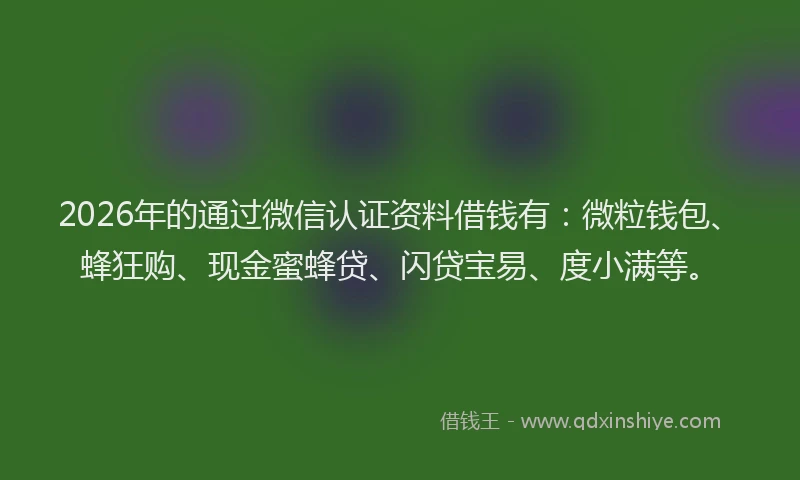 2026年的通过微信认证资料借钱有：微粒钱包、蜂狂购、现金蜜蜂贷、闪贷宝易、度小满等。