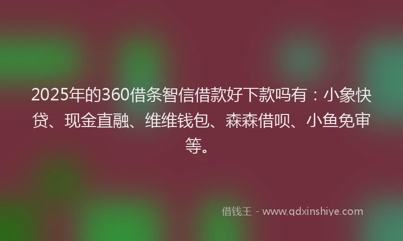 2025年的360借条智信借款好下款吗有:小象快贷、现金直融、维维钱包、森森借呗、小鱼免审等。
