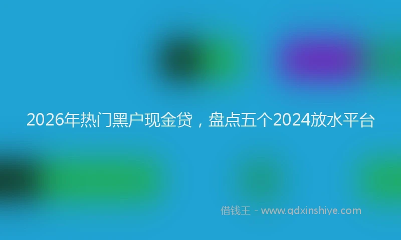 2026年热门黑户现金贷，盘点五个2024放水平台