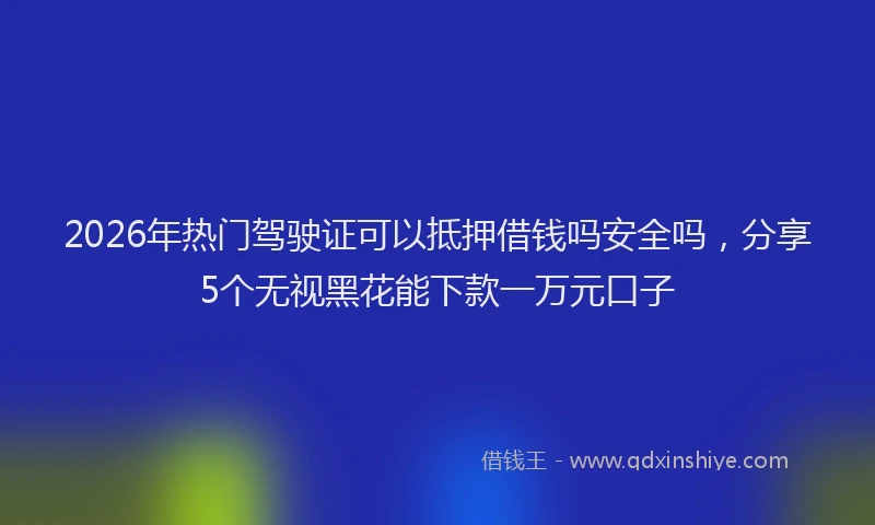 2026年热门驾驶证可以抵押借钱吗安全吗，分享5个无视黑花能下款一万元口子