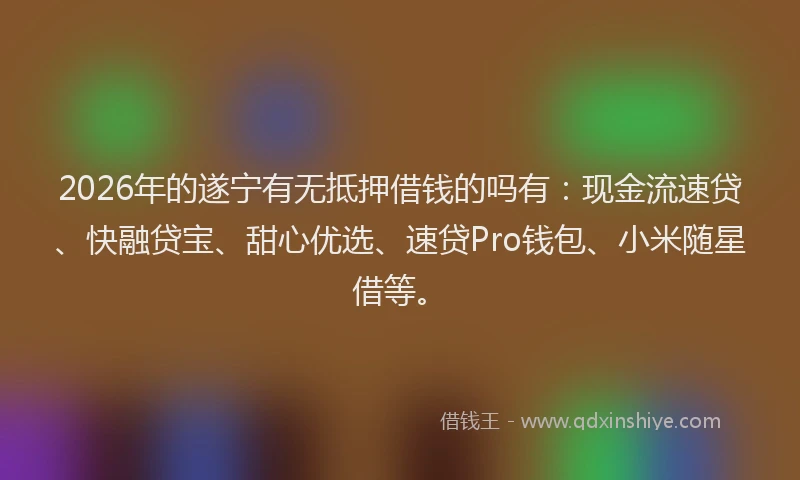 2026年的遂宁有无抵押借钱的吗有:现金流速贷、快融贷宝、甜心优选、速贷Pro钱包、小米随星借等。