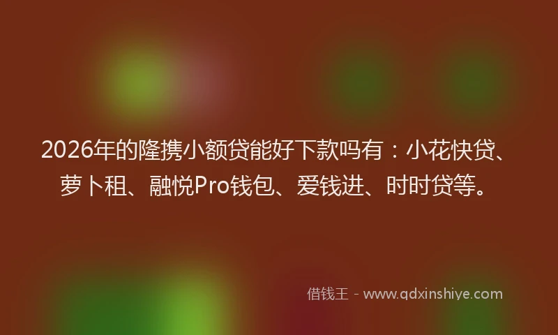 2026年的隆携小额贷能好下款吗有:小花快贷、萝卜租、融悦Pro钱包、爱钱进、时时贷等。